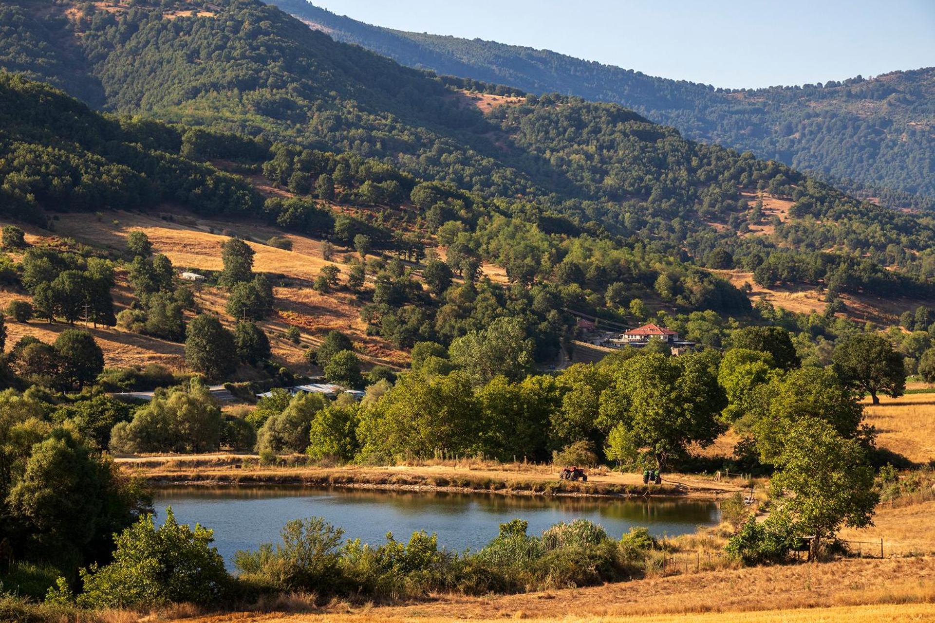 Ktima Bellou Agios Dimitrios  Zewnętrze zdjęcie