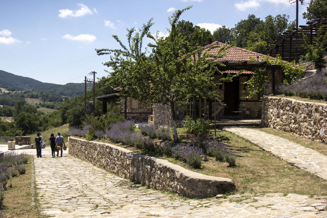 Ktima Bellou Agios Dimitrios  Zewnętrze zdjęcie